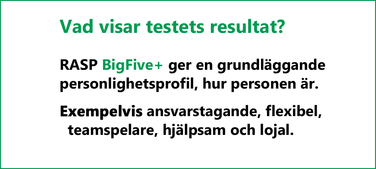 RASP Big Five+ - Vad visar testets resultat?